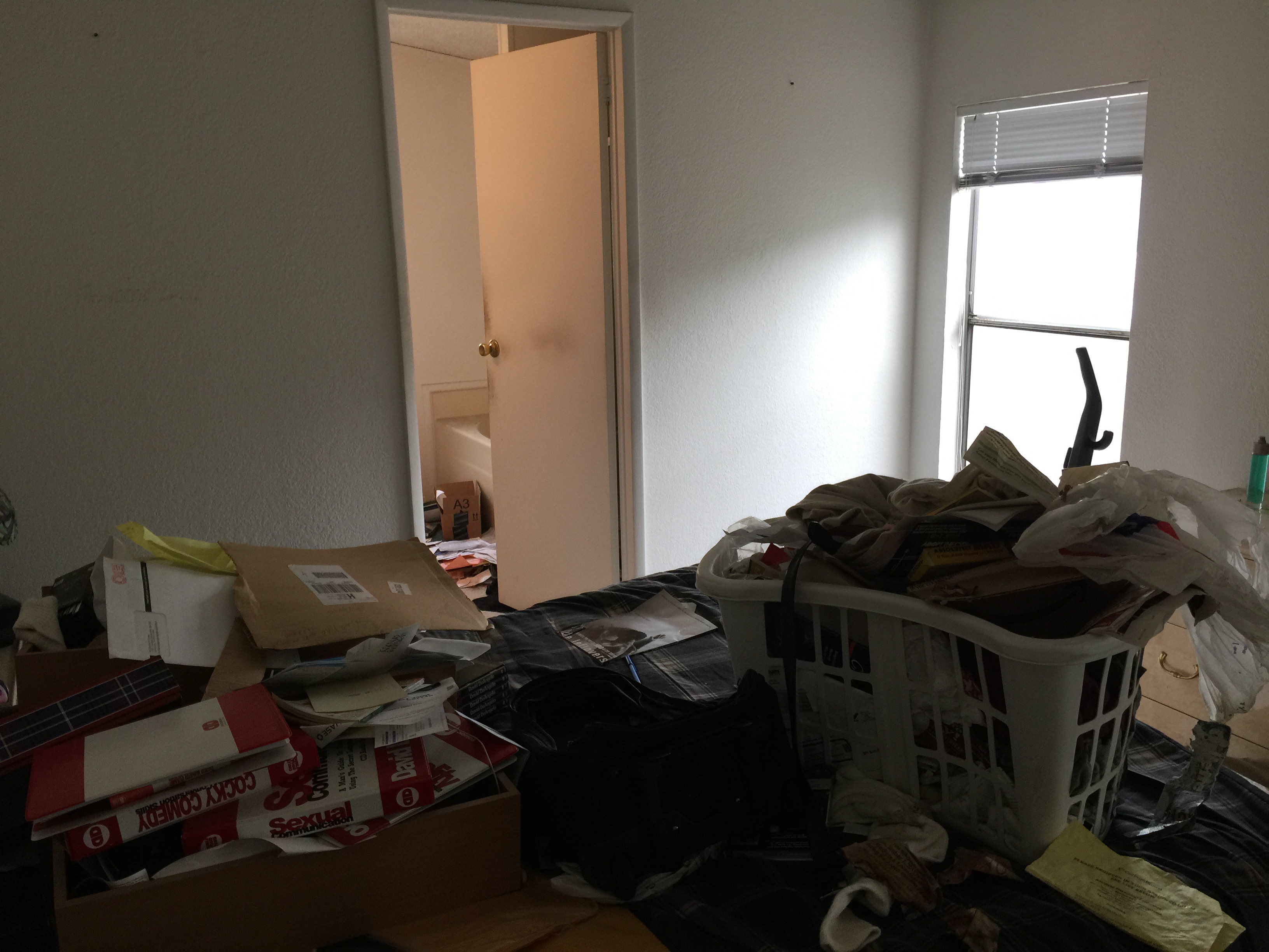 hoarder cleaning beverly hills