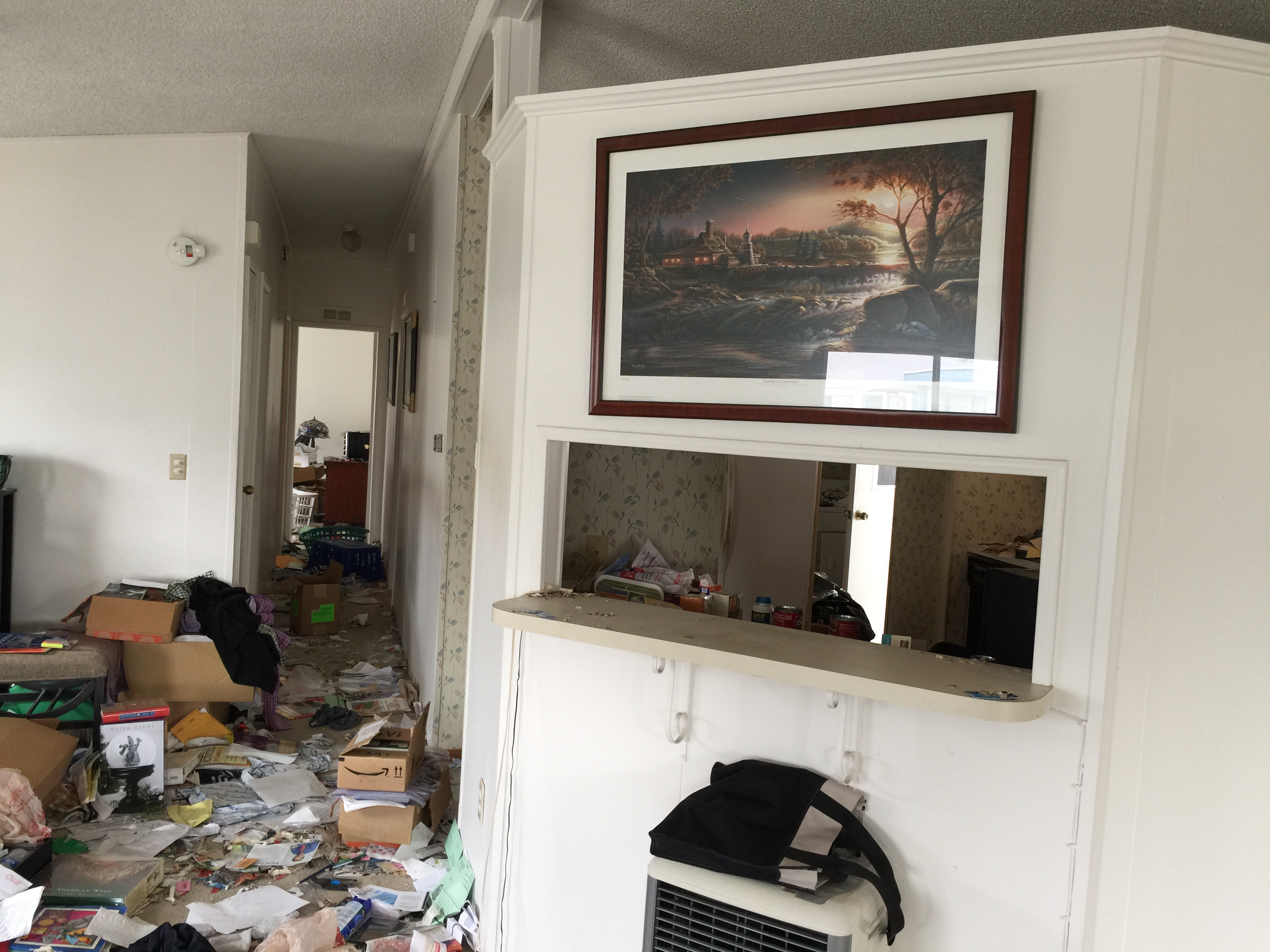 hoarder cleaning beverly hills