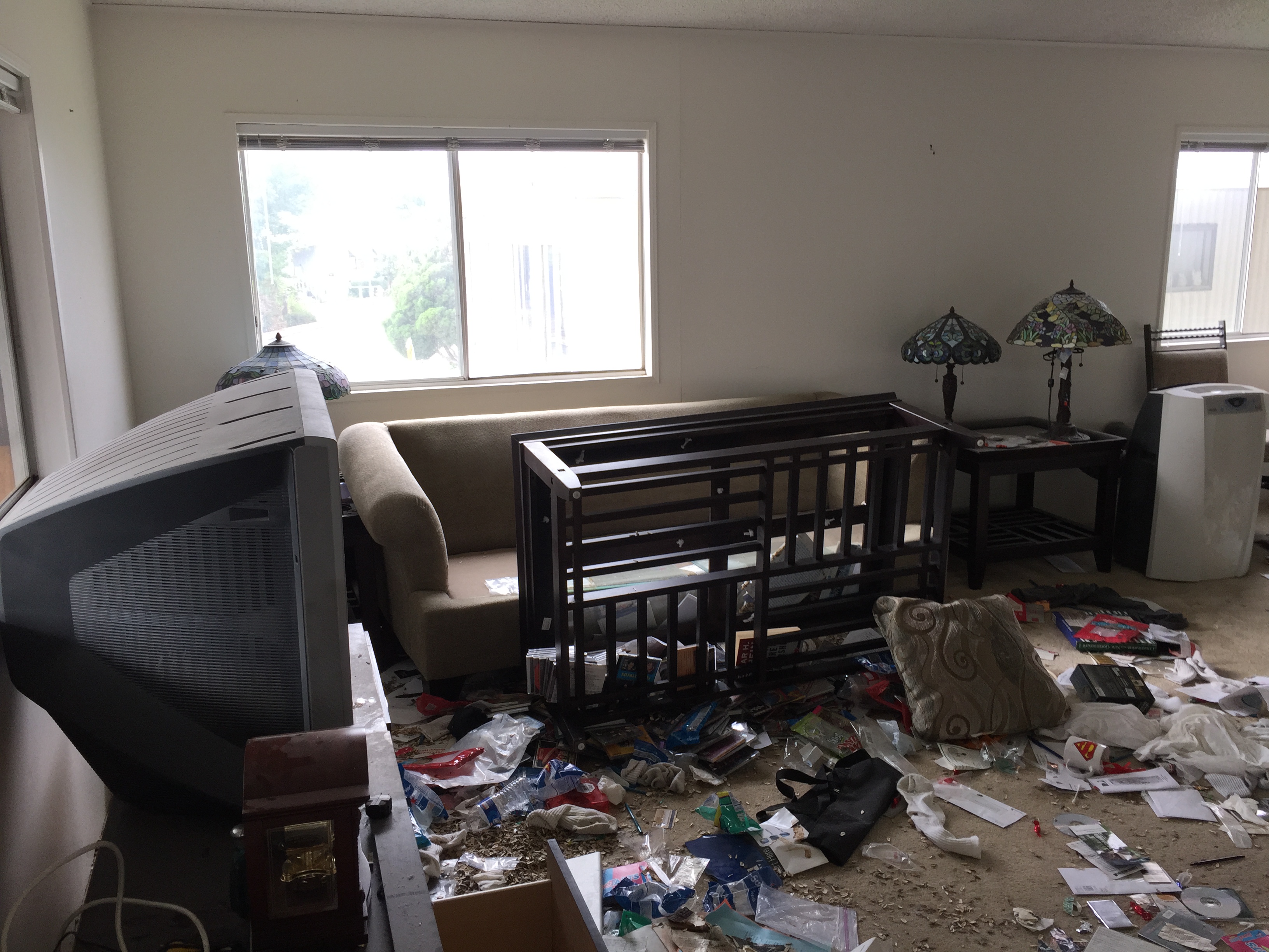 hoarder cleaning beverly hills